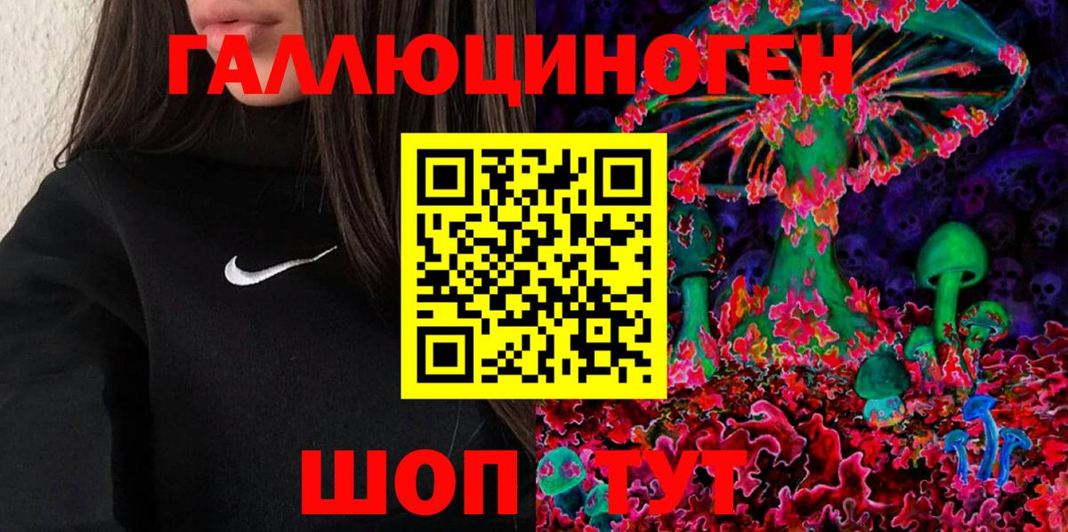 Псилоцибиновые грибы Psilocybe  Галлюциногенные грибы Psilocybe  Янаул  Вход с VPN 